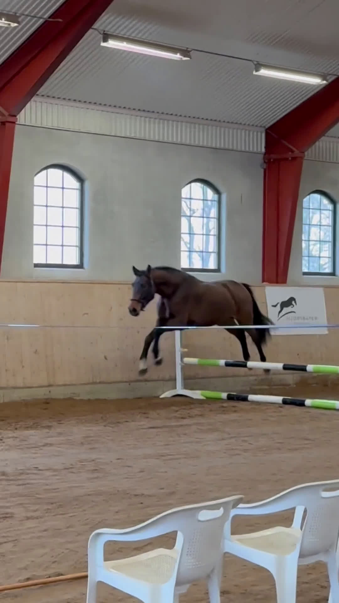 Hoppning hästar till salu: Framtidsämne inom valfri gren! i Skövde - Video 1