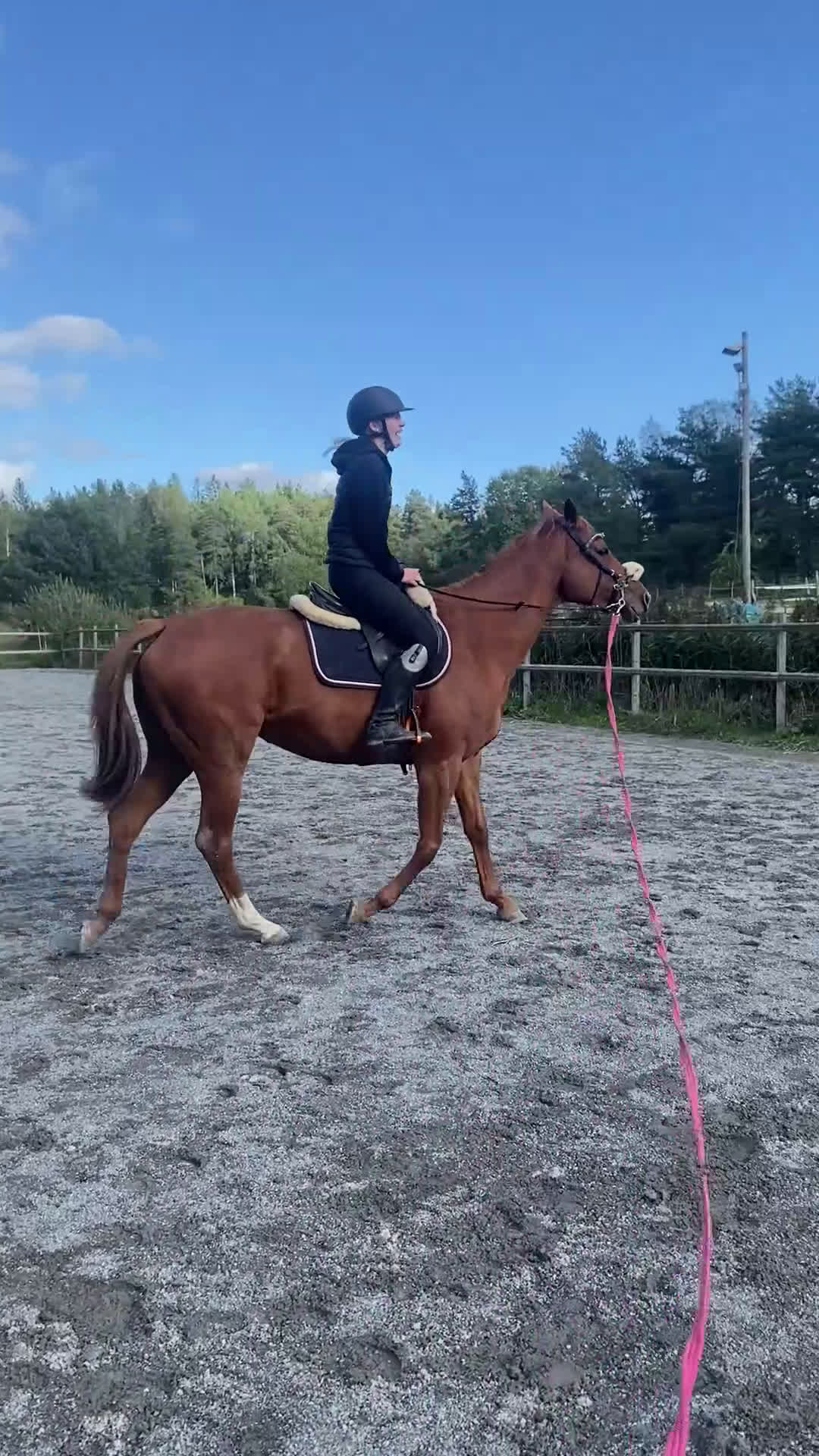 Allround hästar till salu: Drömhäst🧡 i Åkersberga - Video 5