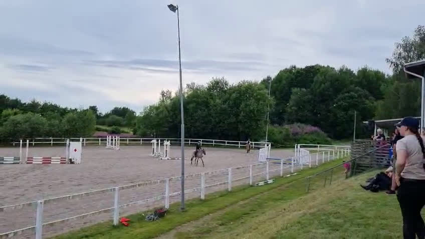 Allround hästar till salu: Maxad b-ponny - Video 2