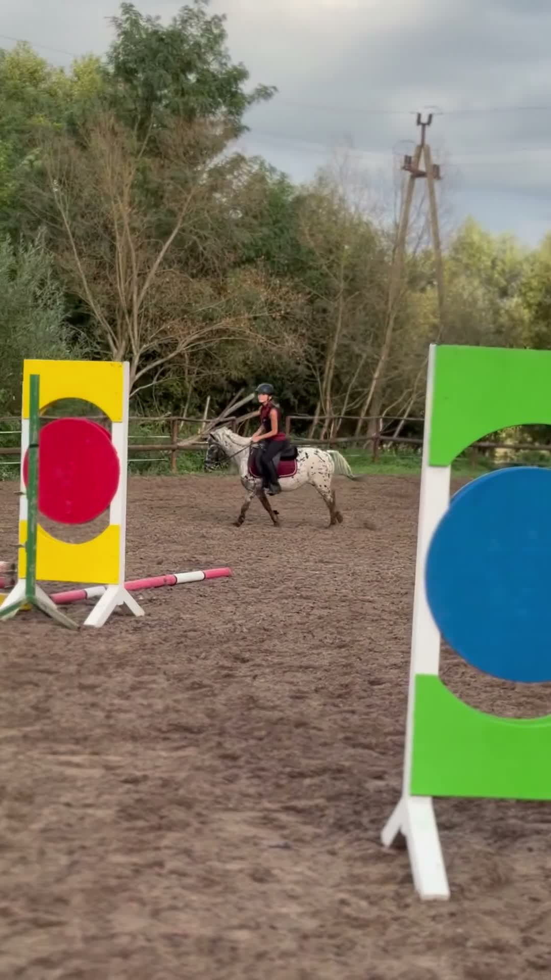 Hoppning hästar till salu: Jumping pony with special color - Video 2