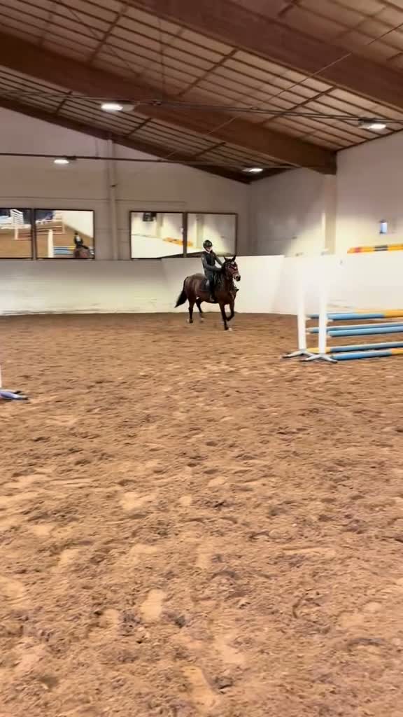 Allround hästar till salu: Fin hobbyhäst - Video 3