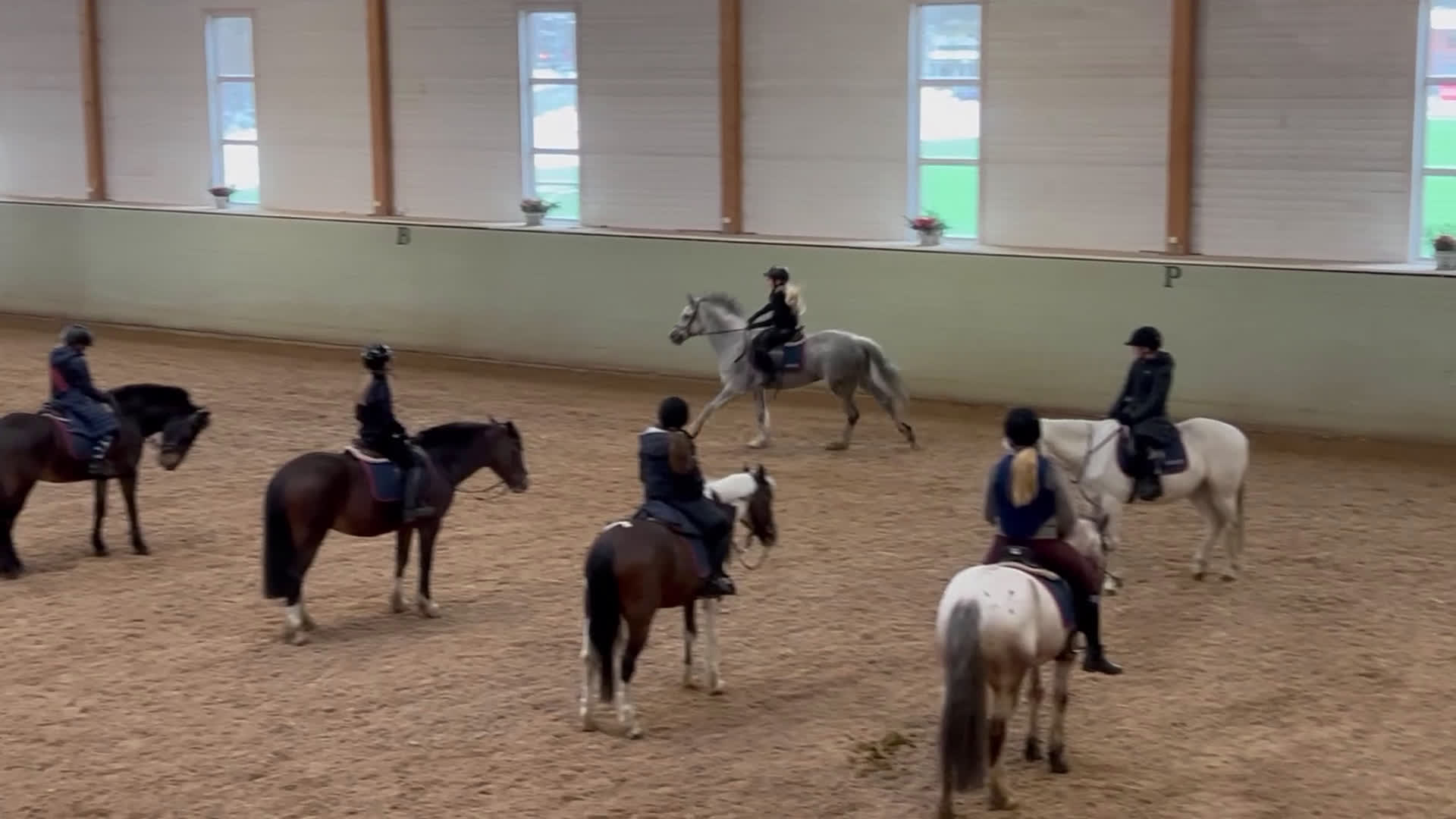  medryttarhäst sökes: Medryttarhäst SÖKES inom STOCKHOLM - Video 1