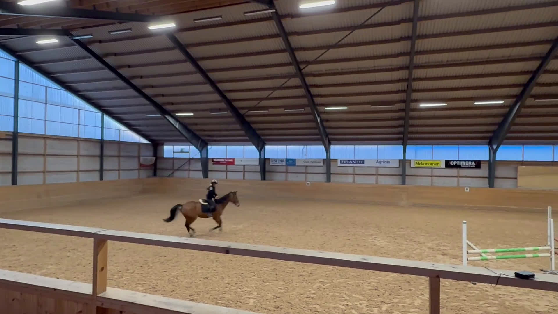 Allround hästar till salu: Världens snällaste läromästare (SWB) i Åmål - Video 2