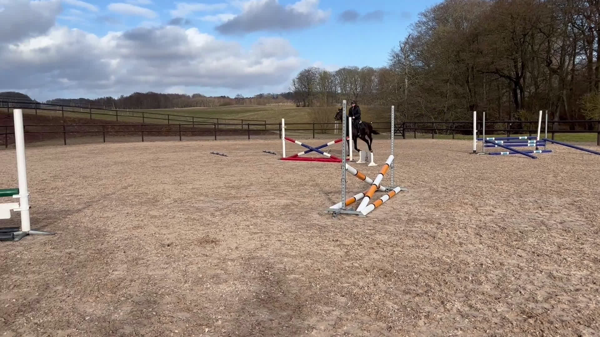Hoppning hästar till salu: Trevlig unghäst med framtiden för sig  - Video 1