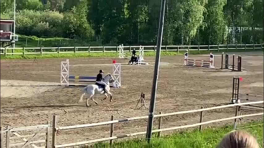 Allround hästar till salu: Ponny för framtiden - Video 3