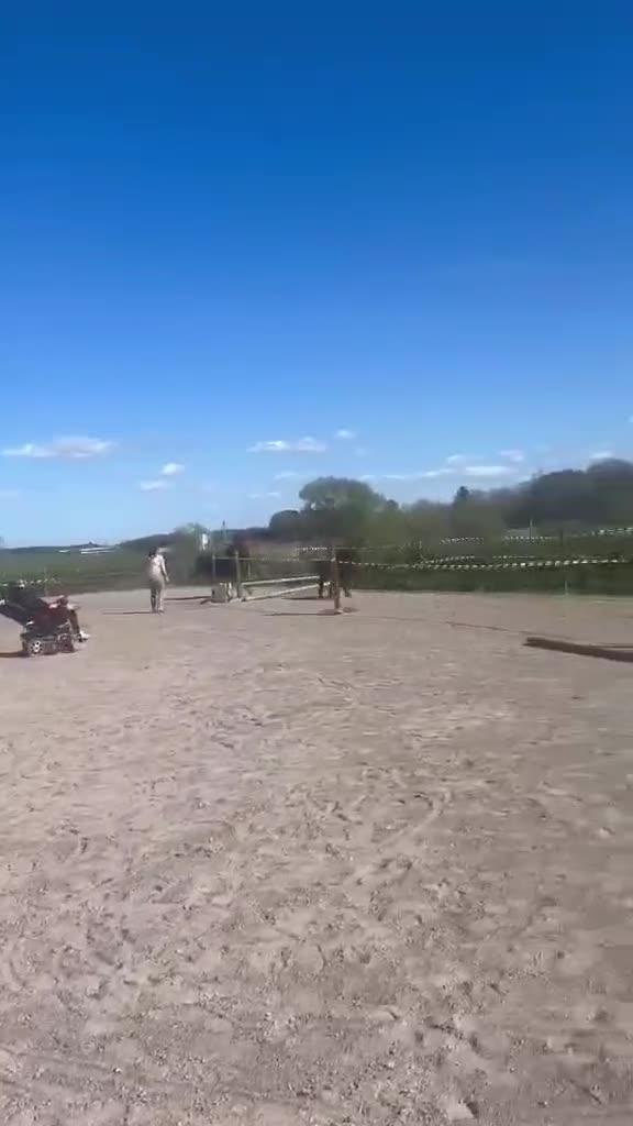 Övrigt hästar till salu: Shettlandssto - Video 1