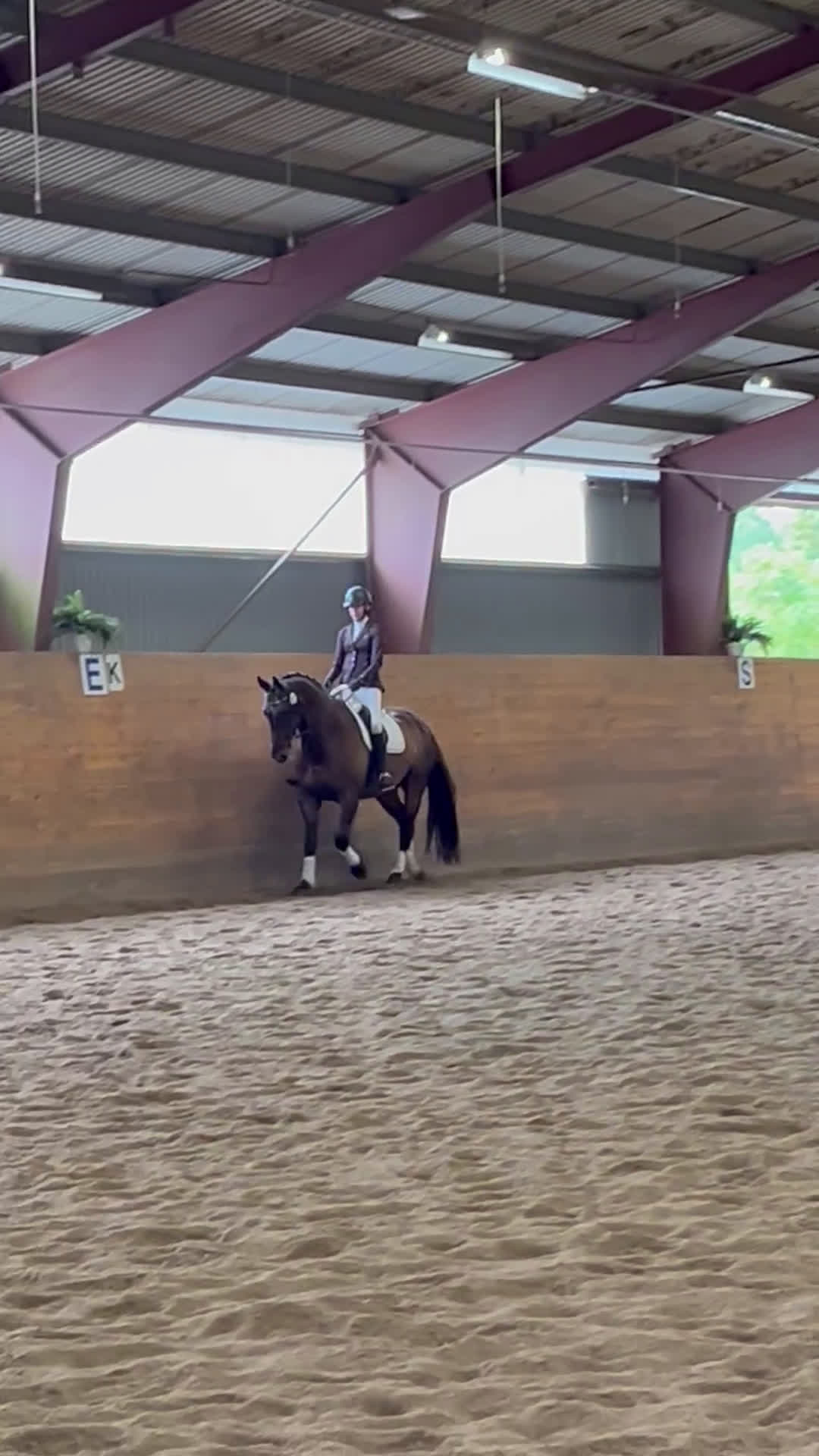 Dressyr hästar till salu: Fin dressyrhäst som älskar att träna i Vallentuna - Video 1