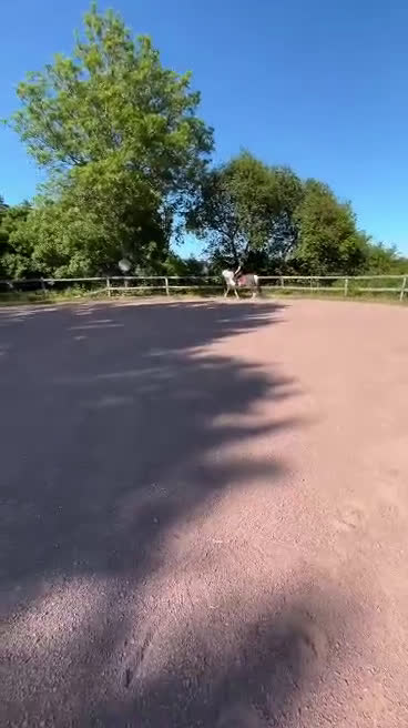 Allround hästar till salu: Social 5-gångare med personlighet på Åland i Grisslehamn - Video 2