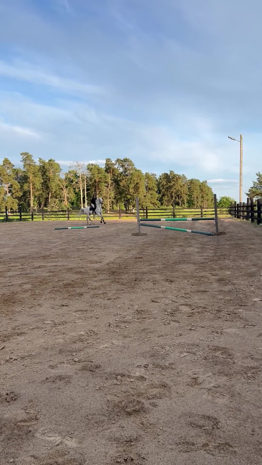 Allround hästar till salu: Intressekoll på fint swb sto! 🌟 - Video 1