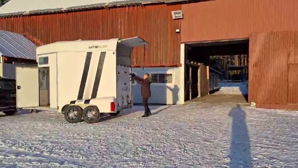 Dressyr hästar till salu: Trevlig 2 åring SWB e. Serious 1457 i Umeå - Video 4