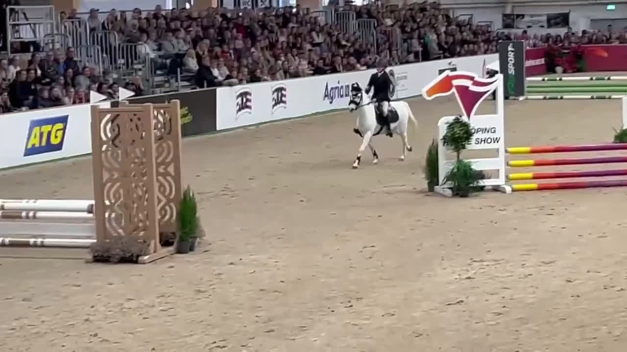 Hoppning hästar till salu: ⭐️Världens bästa ponny⭐️ i Källby - Video 1