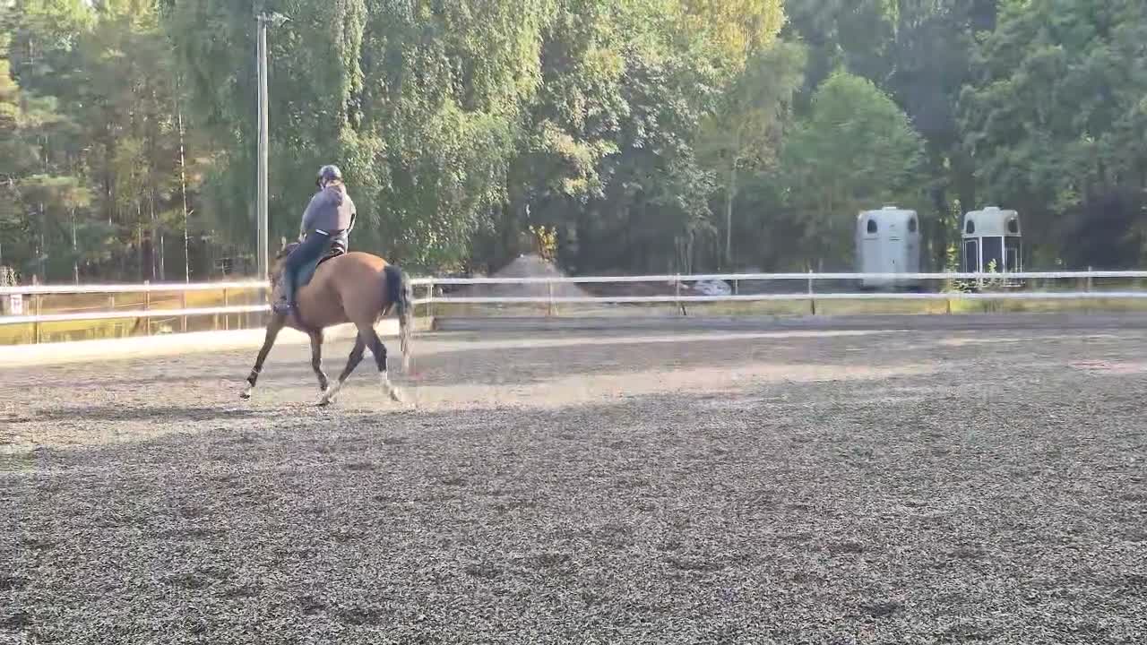  hästjobb finnes: Catchrider / Tävling / utbildning  - Video 2