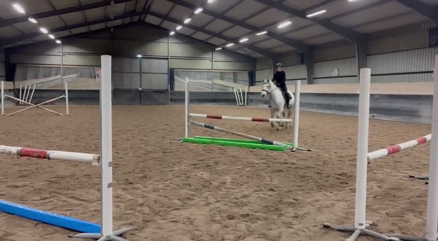 Allround hästar till salu: Vacker skimmel söker nytt hem - Video 5