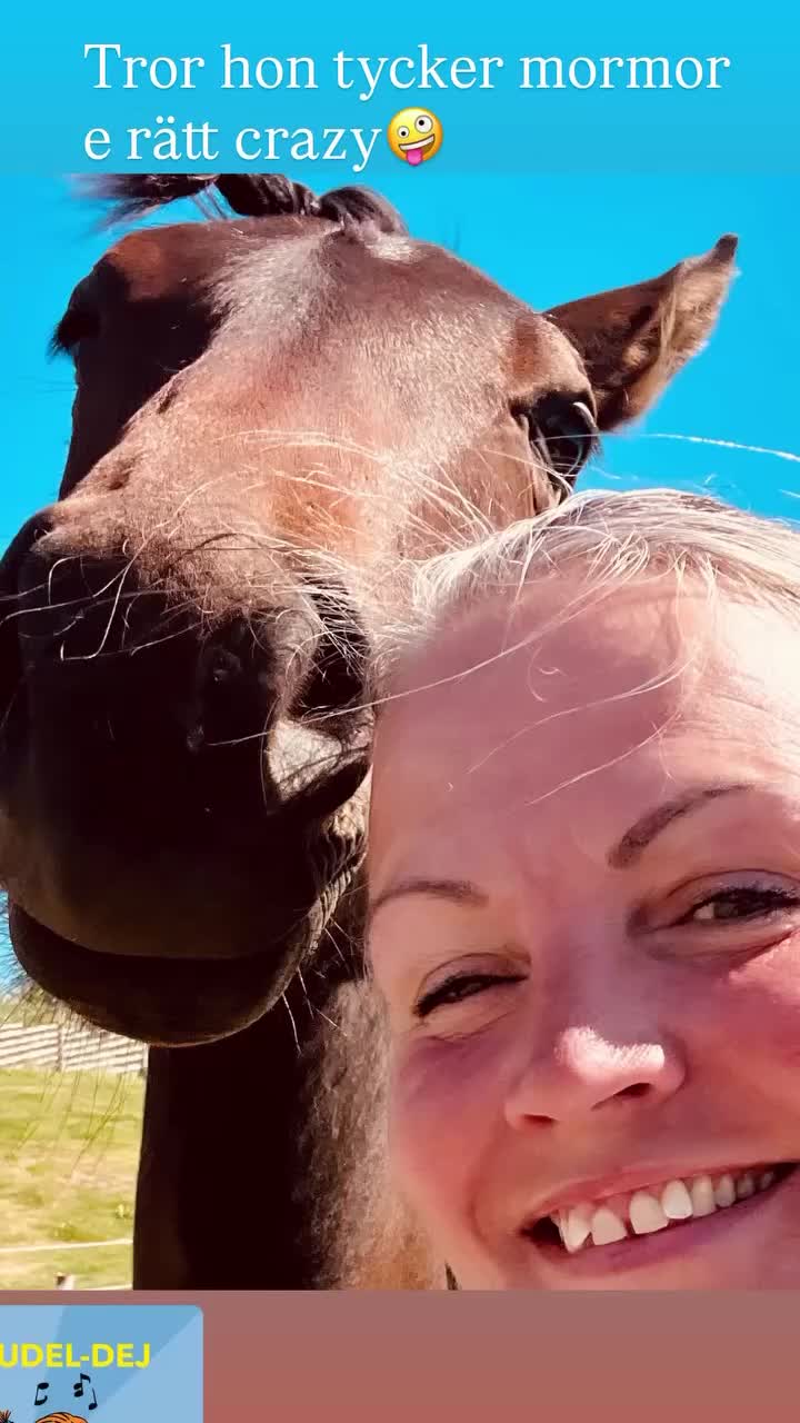  foderhäst sökes: Foderhäst sökes💞 i Morup - Video 1