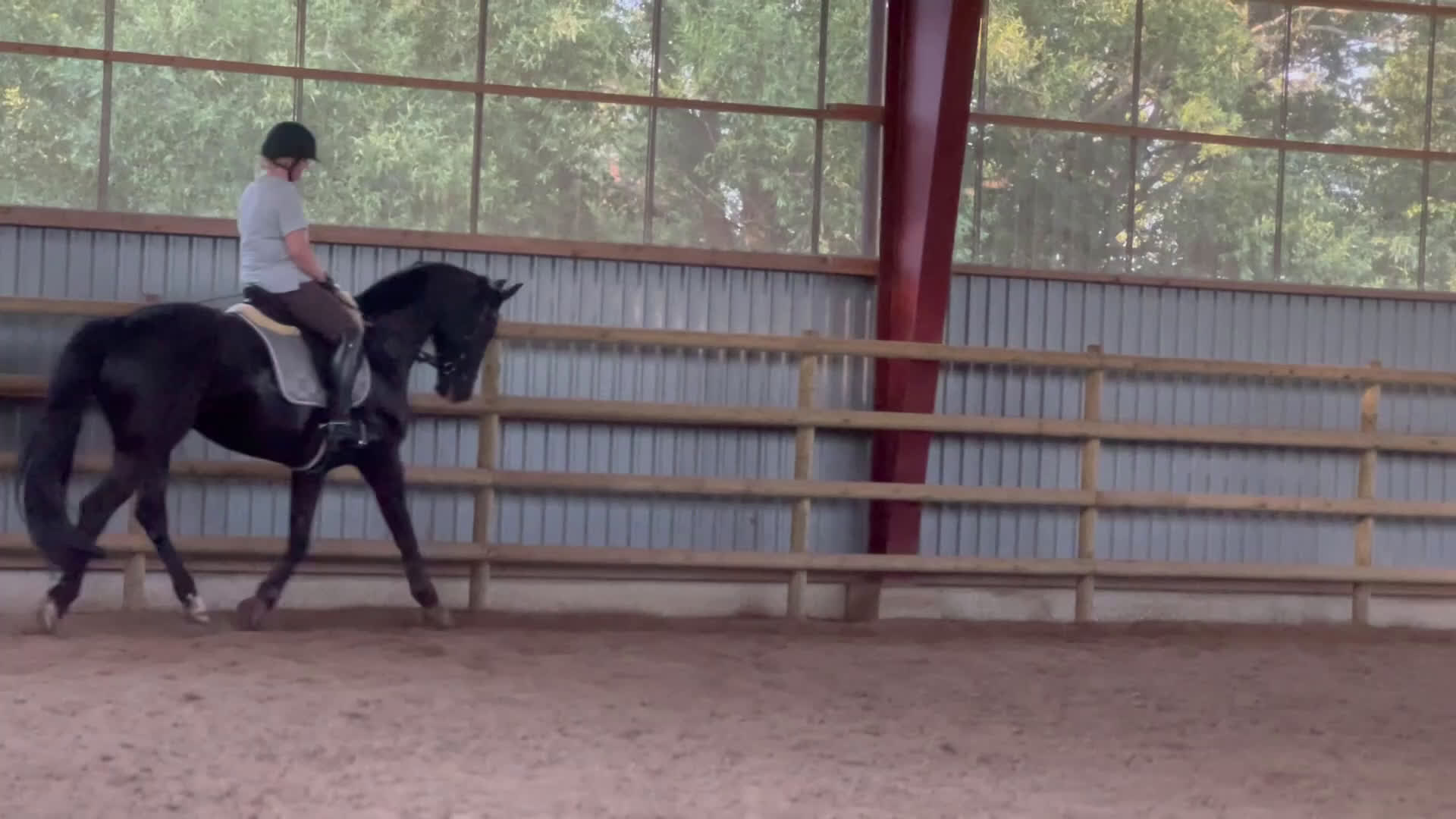  foderhäst finnes: Fodervärd sökes  i Kinnarumma - Video 2