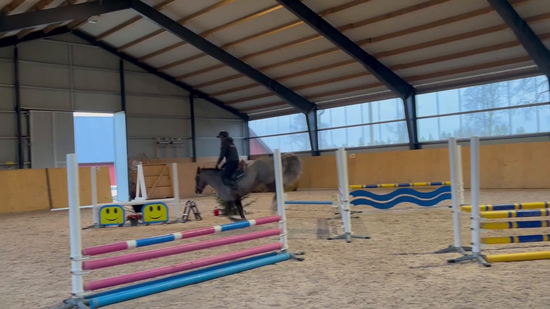 Hoppning hästar till salu: Underbar ponny & bästa vän i Habo - Video 2