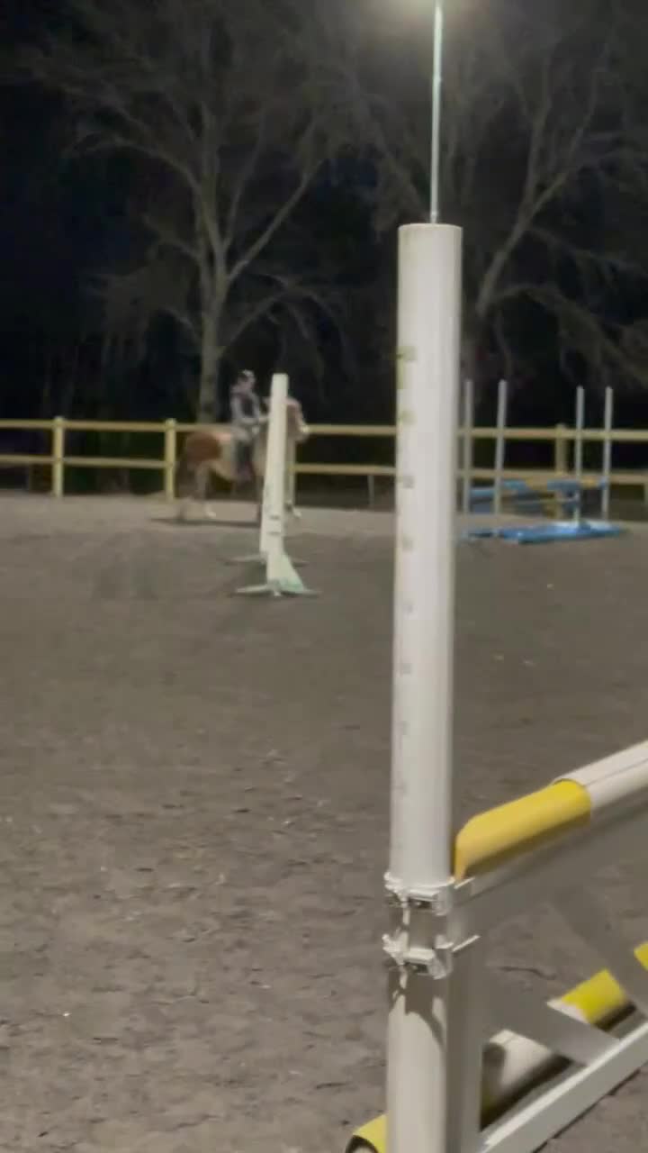 Allround hästar till salu: Fin b-ponny - Video 1