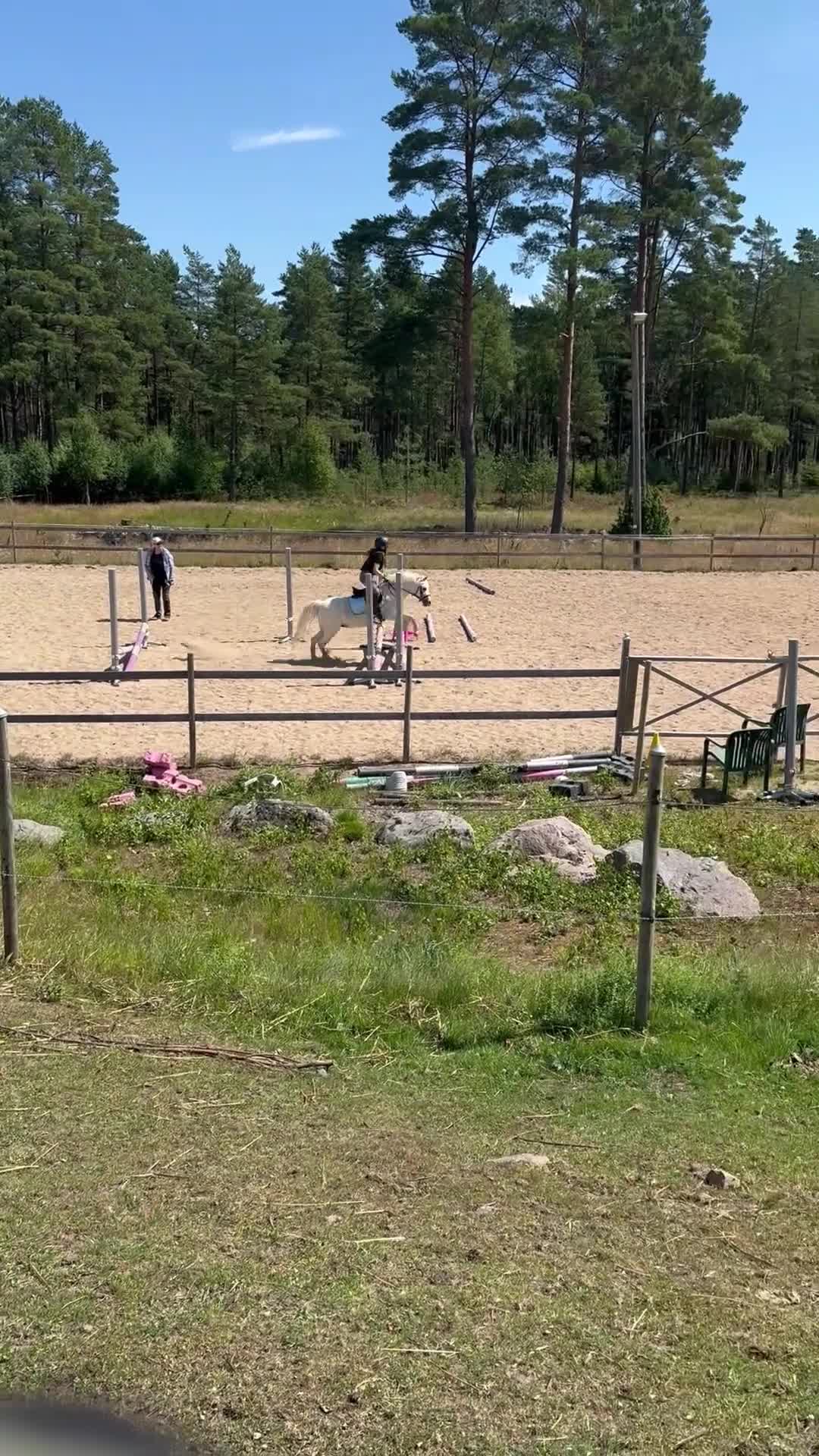Allround hästar till salu: Welsh mountain-sto - Video 5