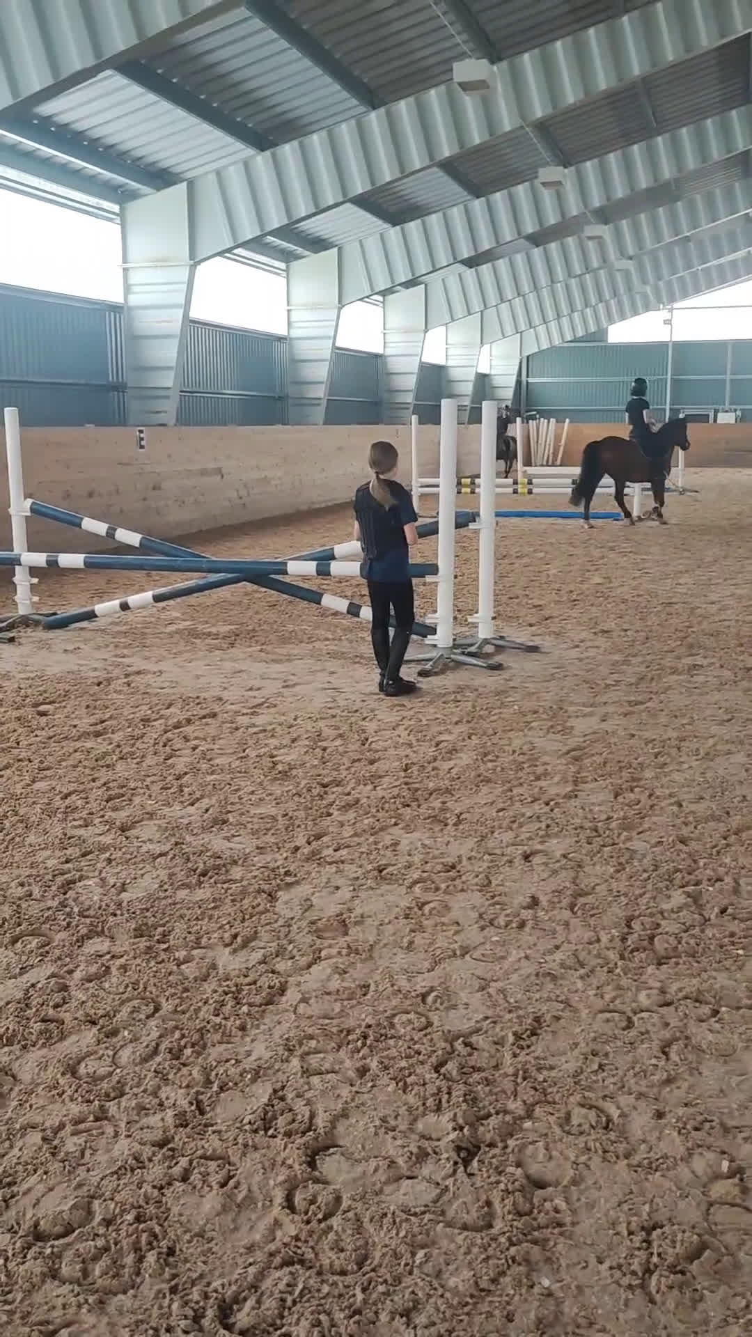 Allround hästar till salu: Härligt Gotlandsruss  - Video 3