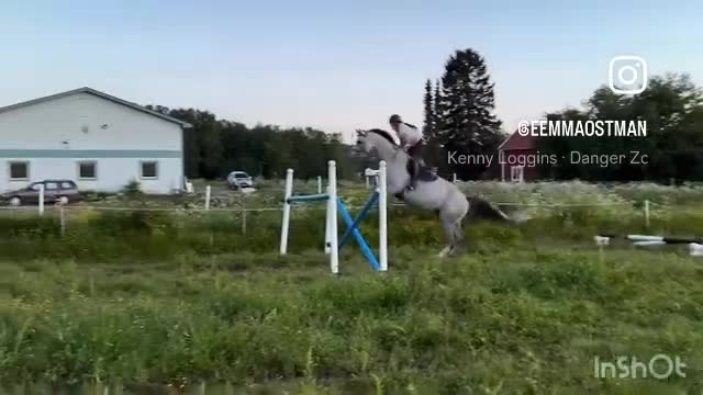 Hoppning hästar till salu: Den där du inte kan missa! - Video 2