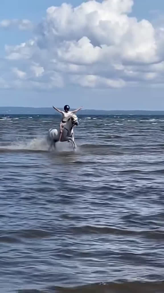 Hoppning hästar till salu: ⭐️Världens bästa ponny⭐️ i Källby - Video 3