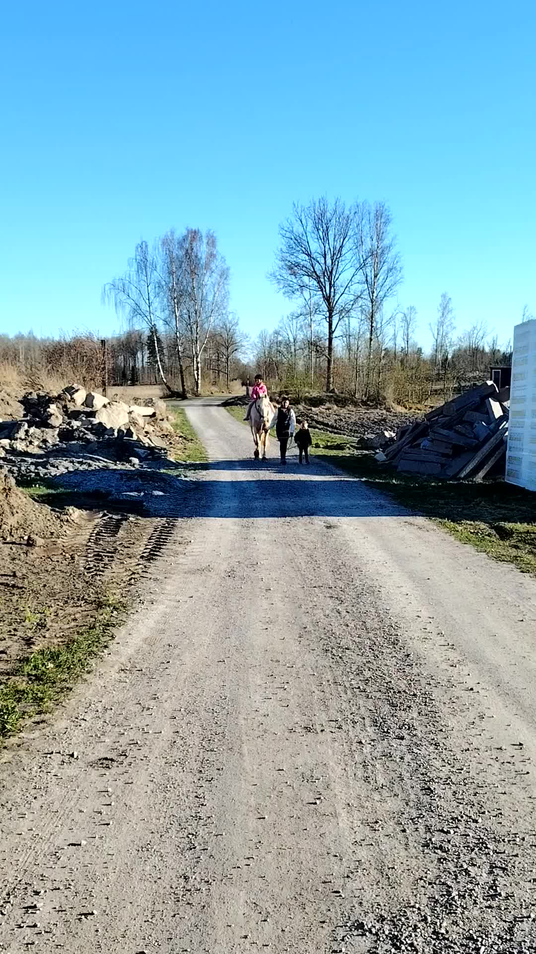 Allround hästar till salu: Stort hjärta, mycket kapacitet och ett blickfång.  - Video 2
