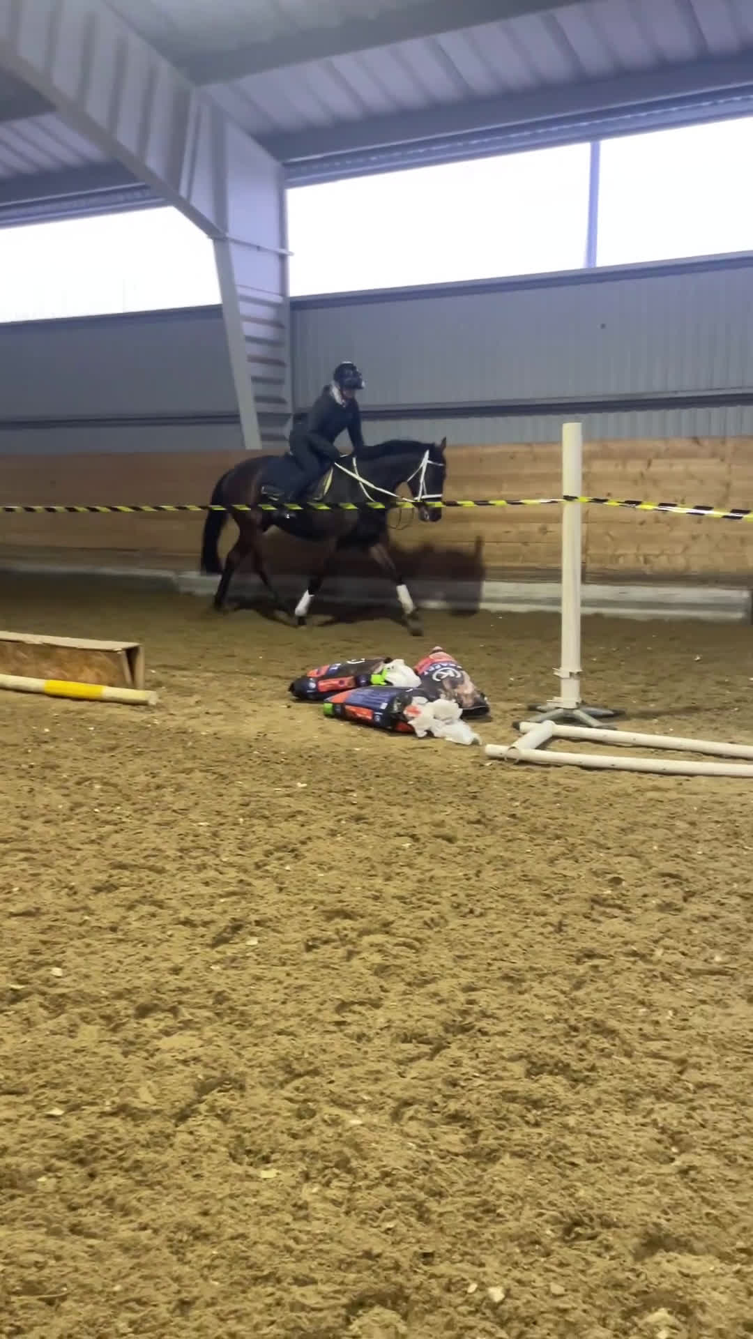 Övrigt hästar till salu: Till Dig med kunskap och tid! i Bälinge - Video 3