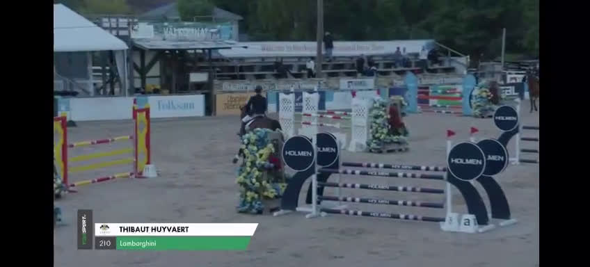 Hoppning hästar till salu: 10-årig ambitiös tävlingshäst i Västerljung - Video 1