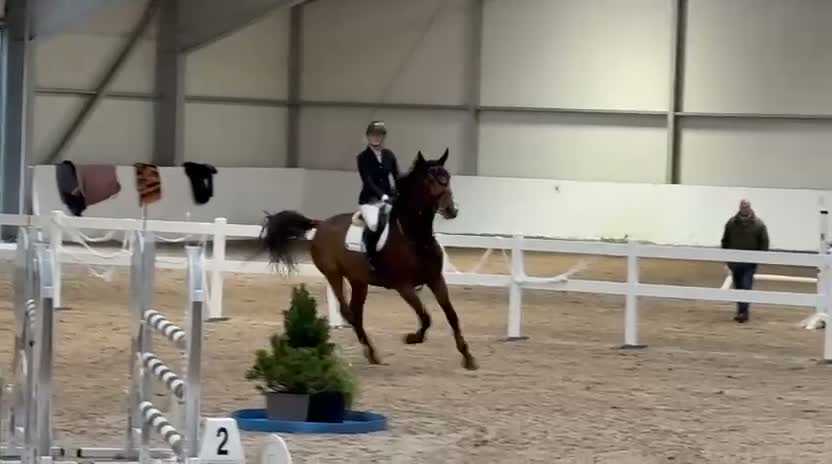 Hoppning hästar till salu: Super ridehest selges - Video 1