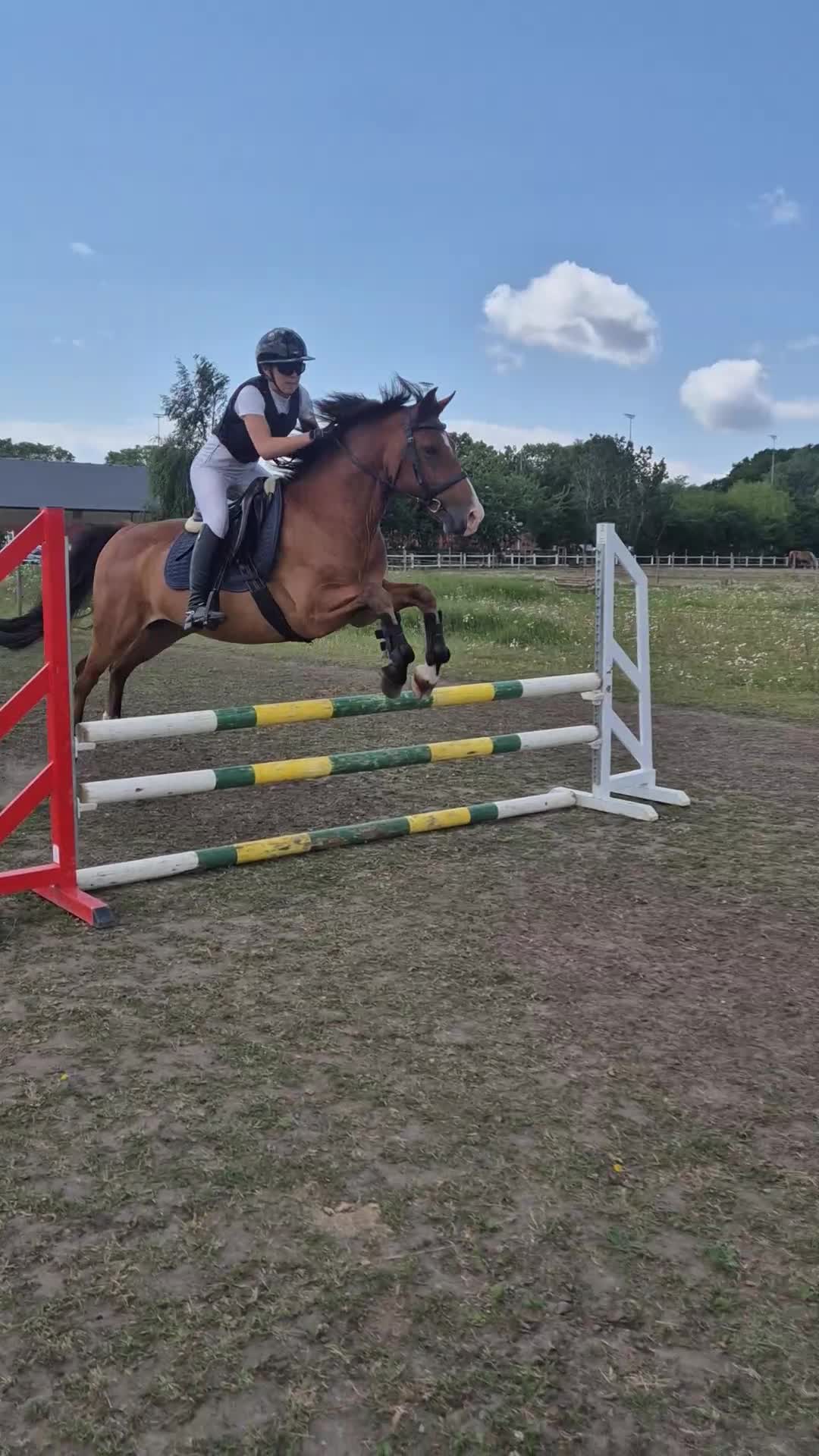 Hoppning hästar till salu: Snäll D ponny  - Video 2