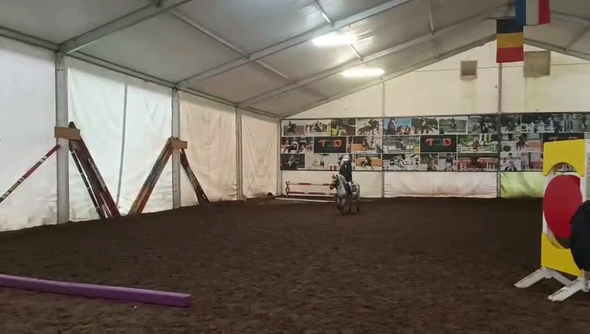 Hoppning hästar till salu: Jumping pony with special color i Ystad - Video 5