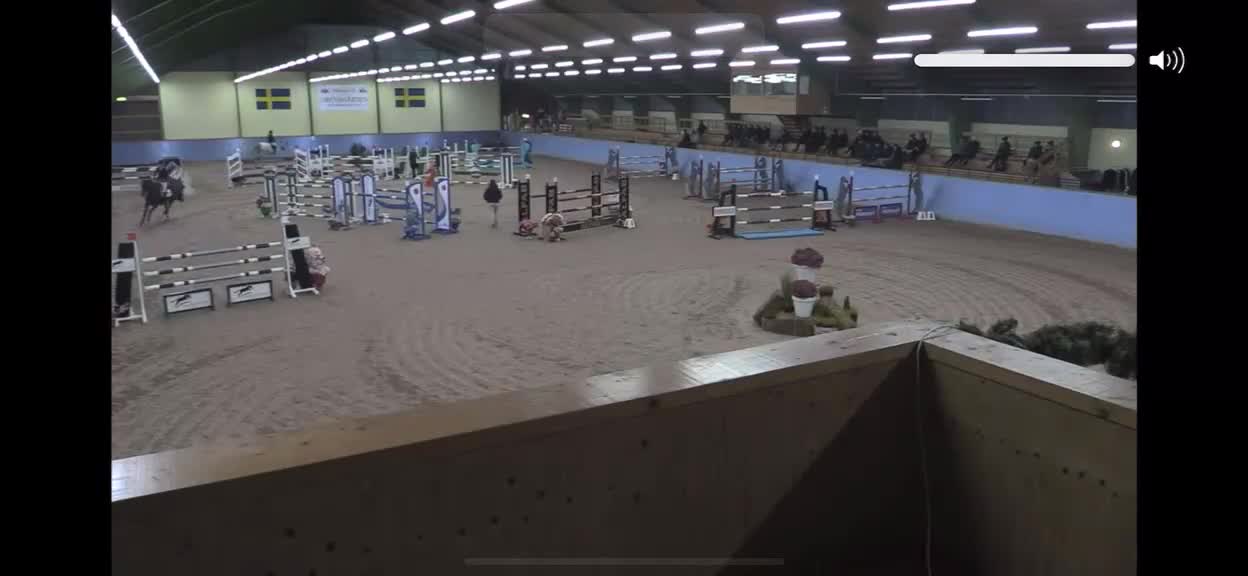 Hoppning hästar till salu: Hopphäst - Video 4