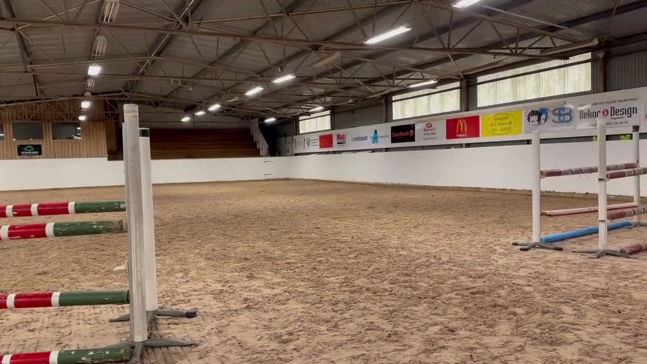 Hoppning hästar till salu: fantastiskt sto i Helsingborg - Video 1