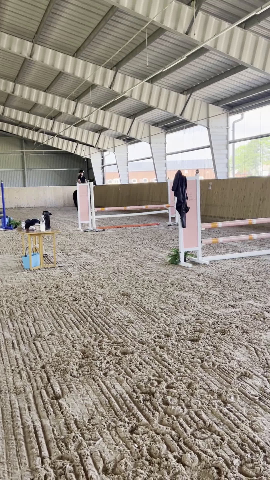 Hoppning hästar till salu: Sportig hopp- eller dressyrhäst i Jonstorp - Video 1