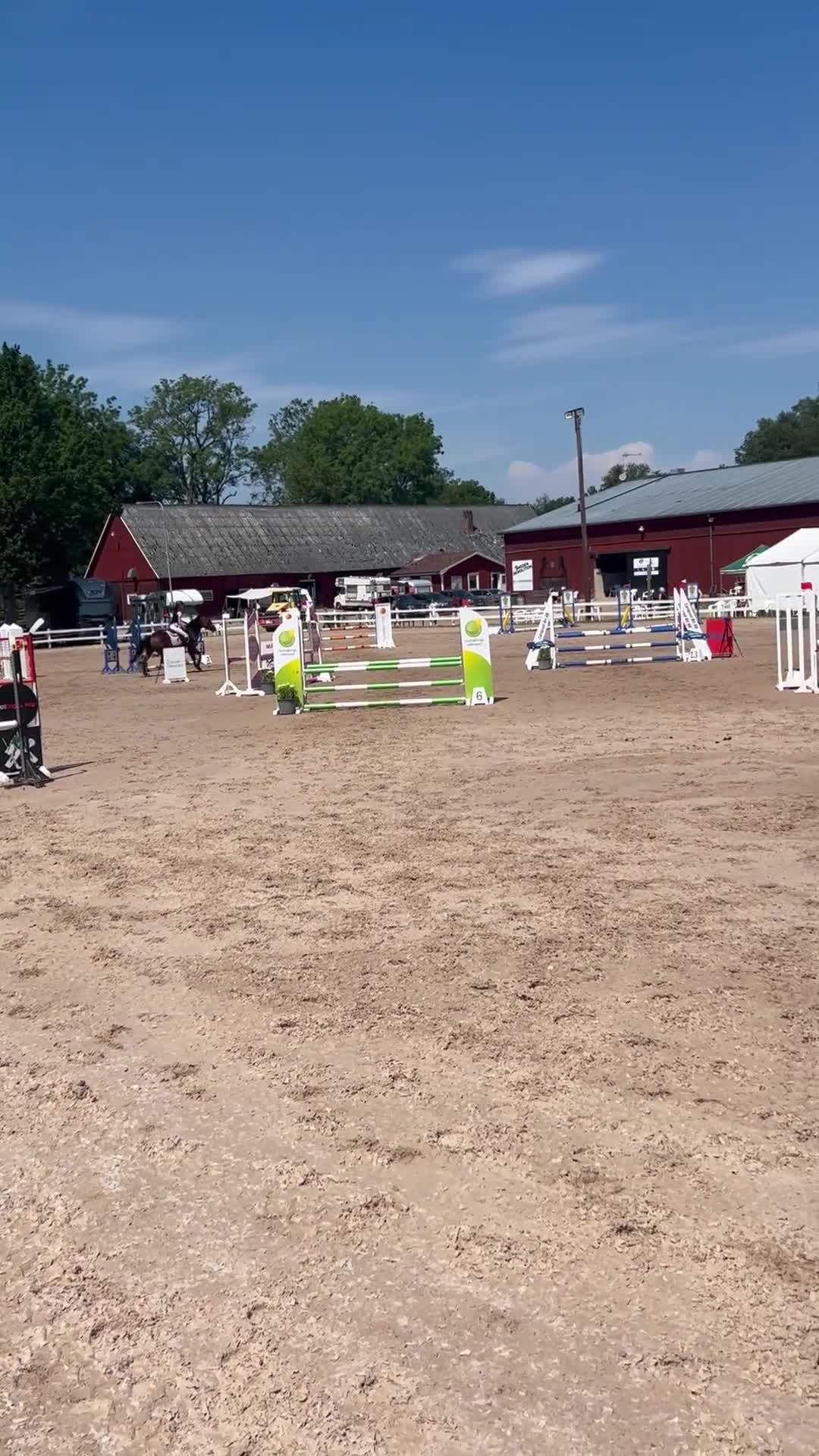 Allround hästar till salu: Libertti maxad D-ponny söker nytt hem  - Video 2