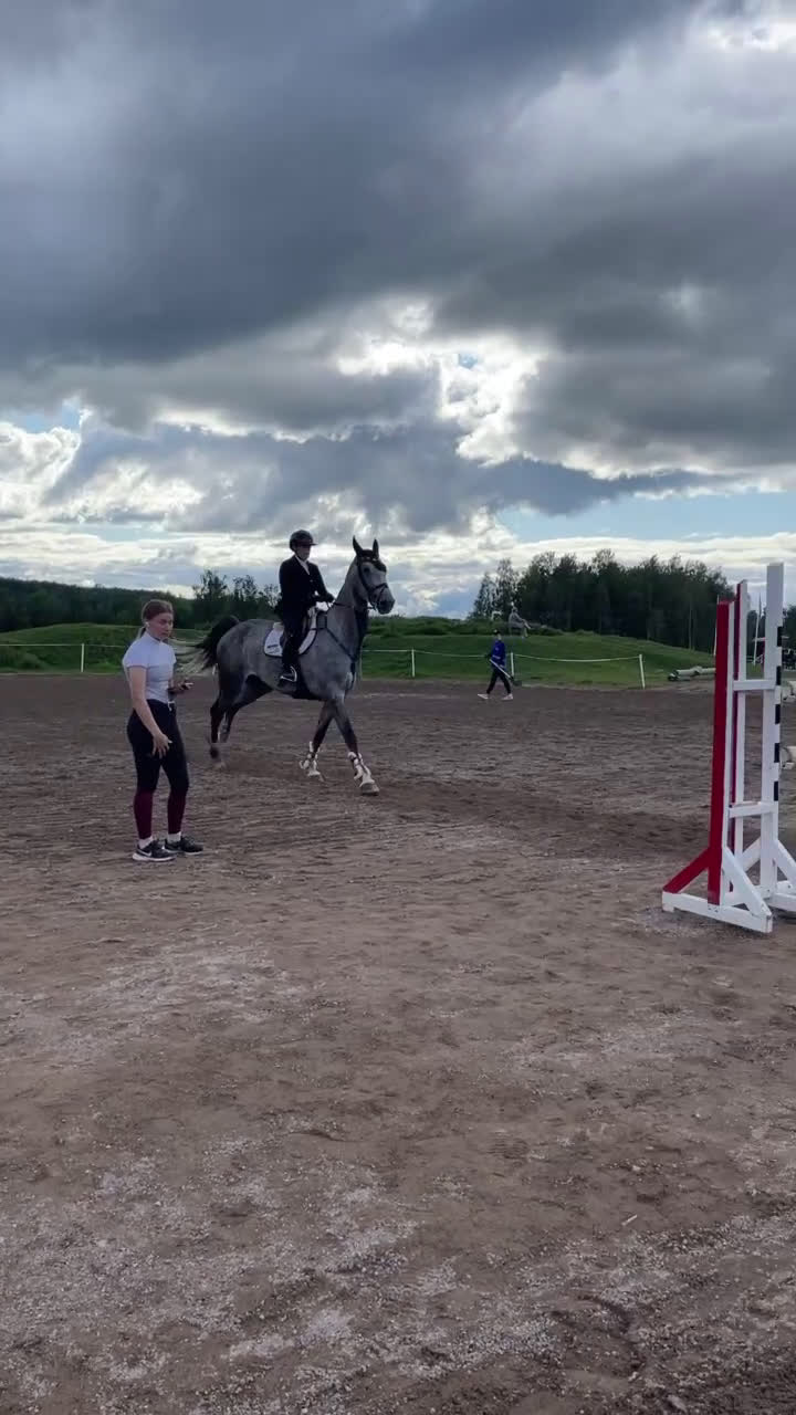 Hoppning hästar till salu: Fantastisk tävlingshäst  - Video 3