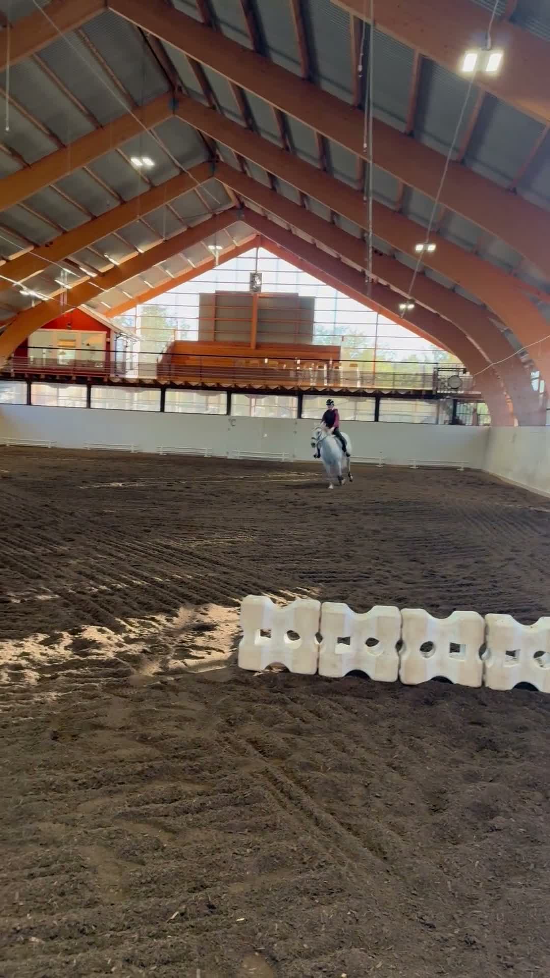 Allround hästar till salu: Connemaravalack med hjärta av guld 💛  - Video 4