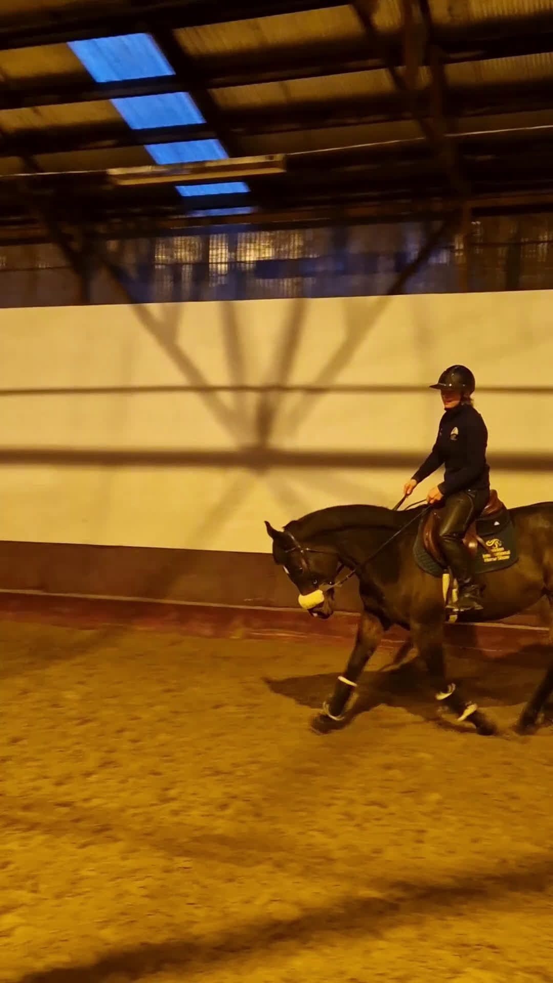 Allround hästar till salu: Dressyrhäst/mamma-dotter/hobbyhäst i Mölndal - Video 1