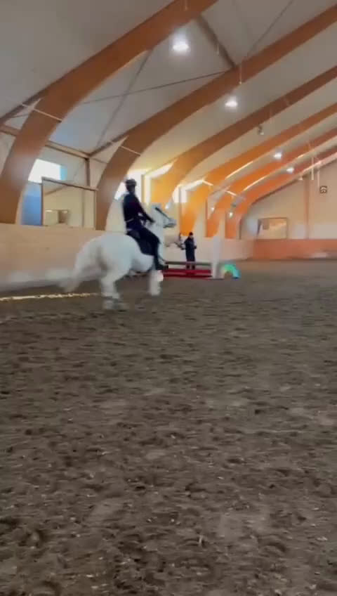 Allround hästar till salu: Ponny med hjärta av guld - Video 2