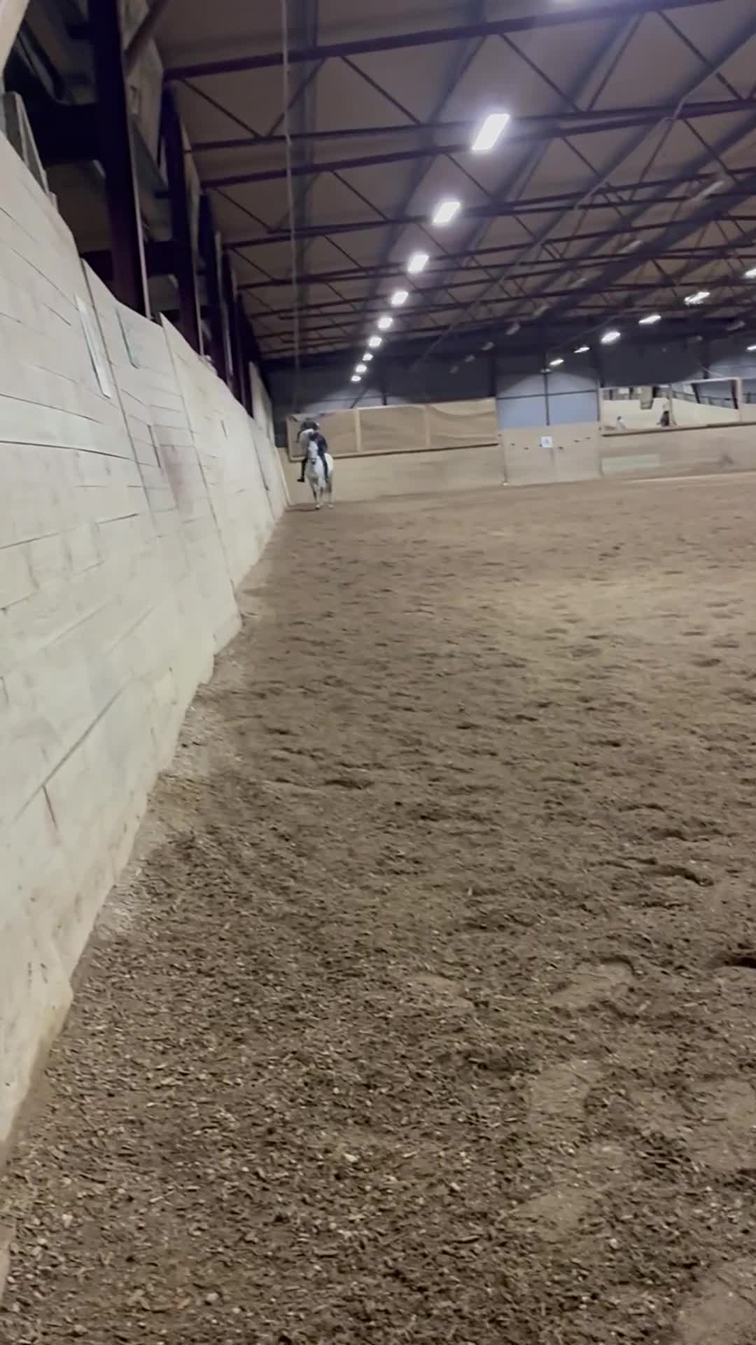 Allround hästar till salu: D-ponny söker sin perfekta ryttare - Video 2
