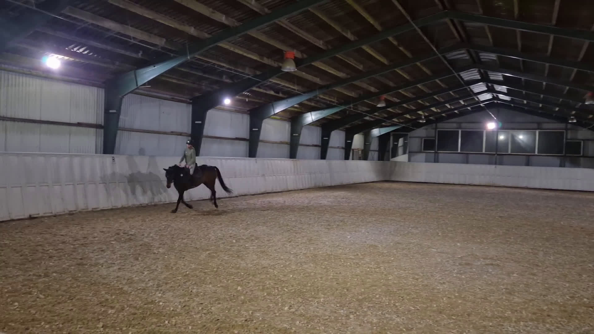 Hoppning hästar till salu: Talentfuld hoppe, med masser af kvalitet - Video 5