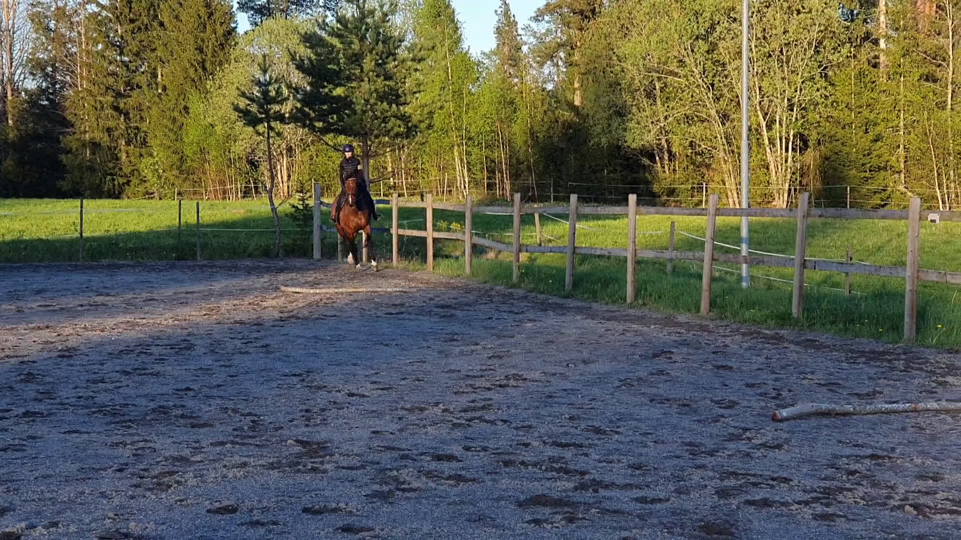 Allround hästar till salu: Bästa kompis/mor/dotter häst i Sundsvall - Video 2