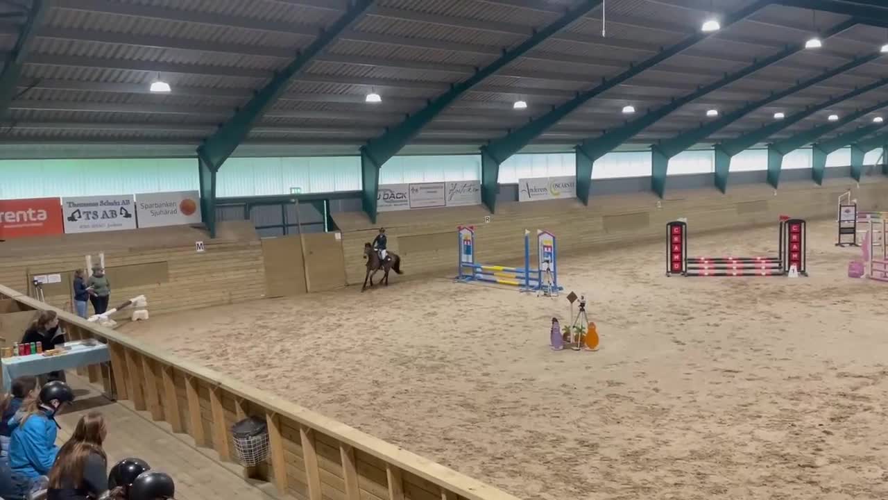 Allround hästar till salu: Go Nut med Meg - ponny med personlighet - Video 2