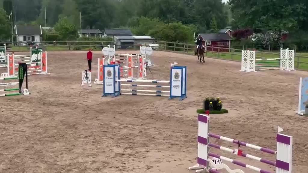 Allround hästar till salu: Allround Kille - Video 3