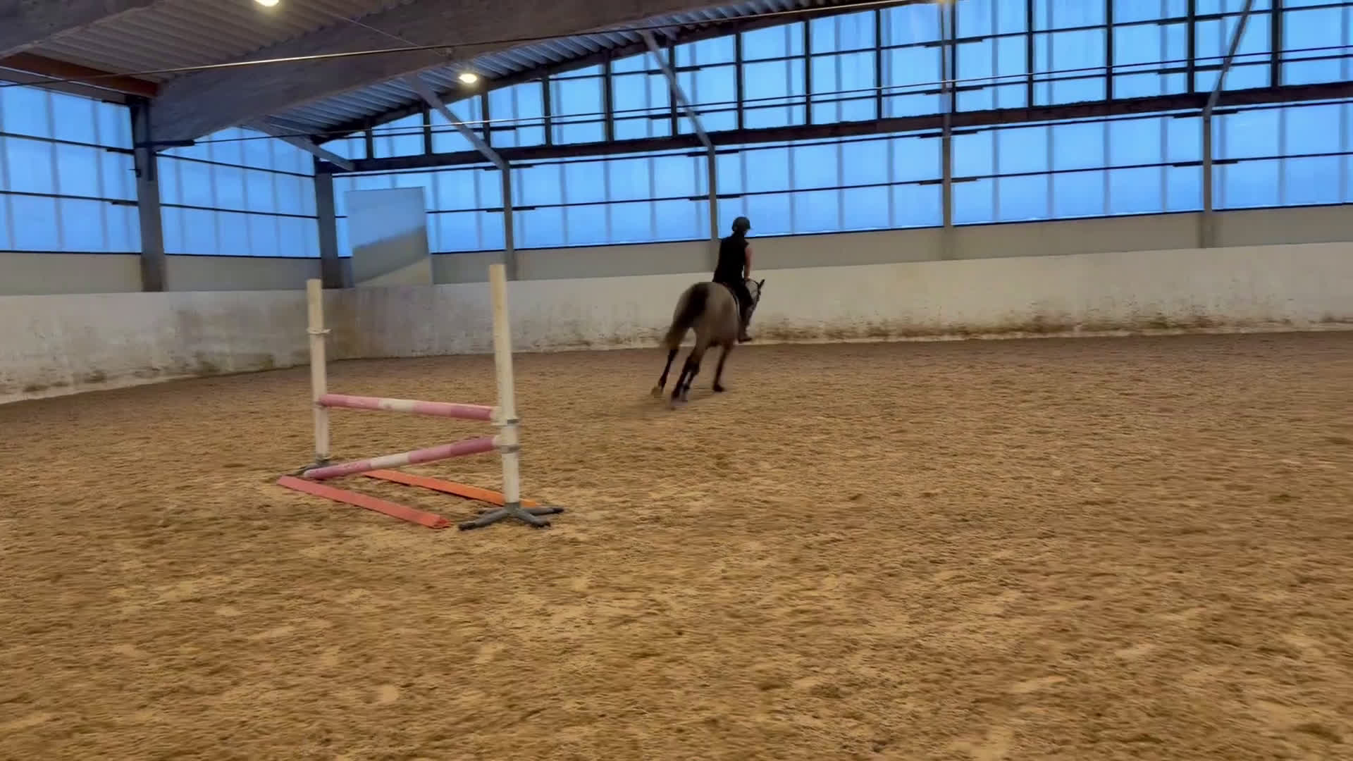 Hoppning hästar till salu: Lyxig hobbyhäst  i Karlstad - Video 3