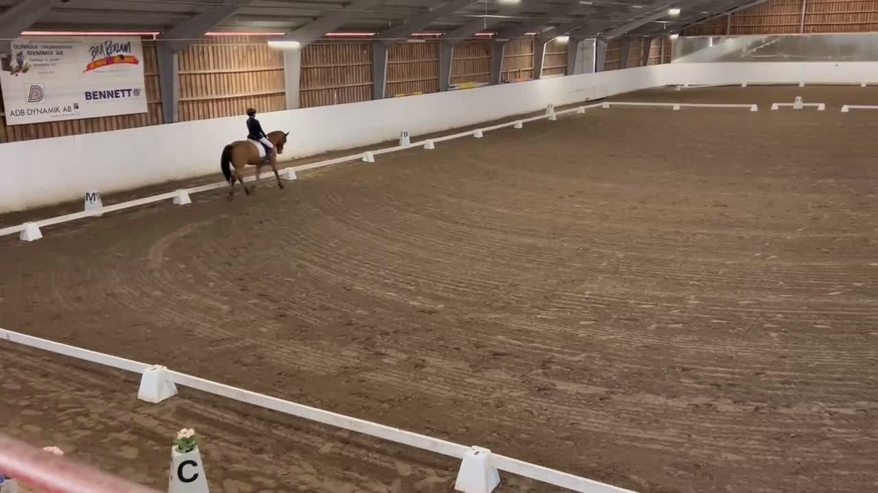 Hoppning hästar till salu: Supersnäll D-ponny i Kungsängen - Video 2