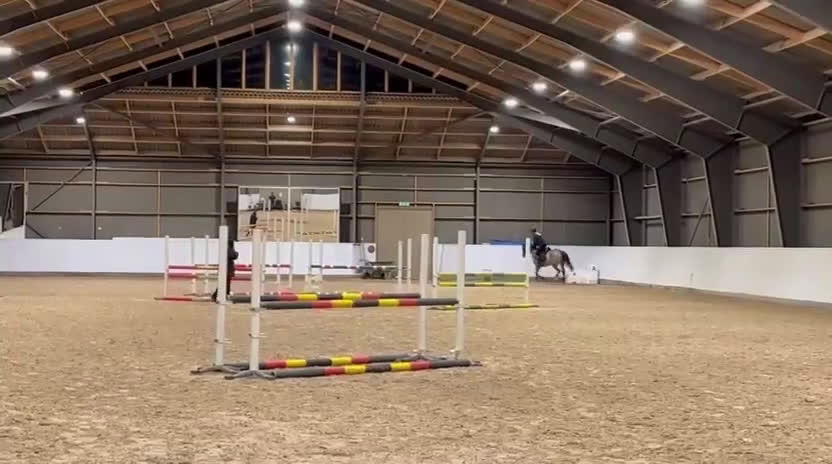 Dressyr hästar till salu:  Drömponnyn  Lärömästare med Tysk Ridponny stam - Video 3