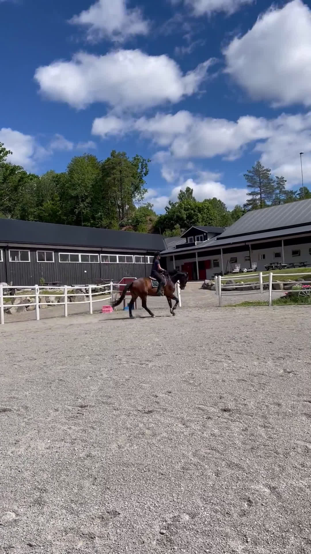  medryttarhäst sökes: Erfaren ryttare söker medeyttarhäst i Sundbyberg - Video 1