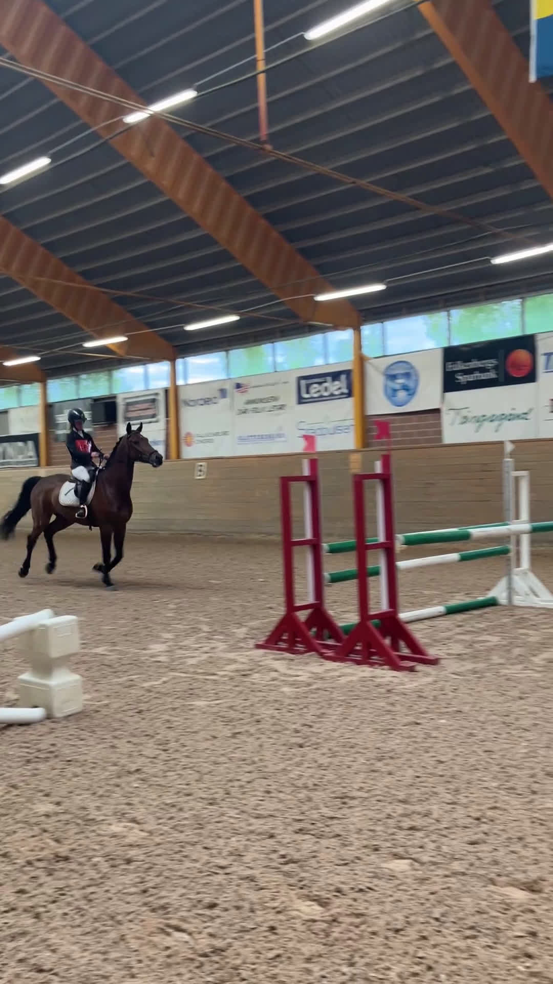 Fälttävlan hästar till salu: Multitalang  i Skara - Video 1