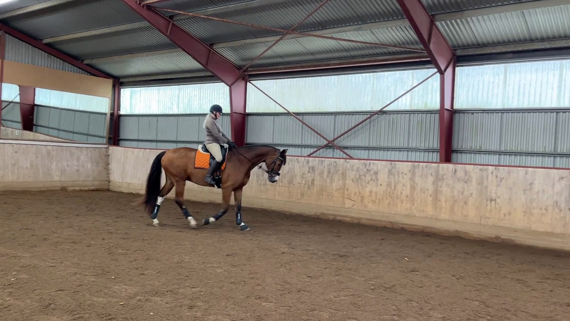 Dressyr hästar till salu: Dressyrämne med stor charm och potential! i Härslöv - Video 2